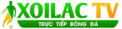 dich vu sua tivi hcm